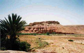 holad
